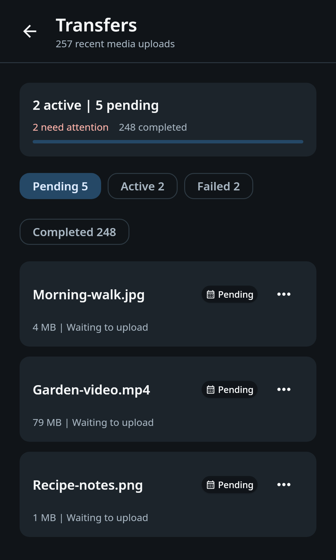 nati.ve Android media transfer center with pending, uploading, failed, succeeded, changed, and cloud-only records grouped by actionable status
